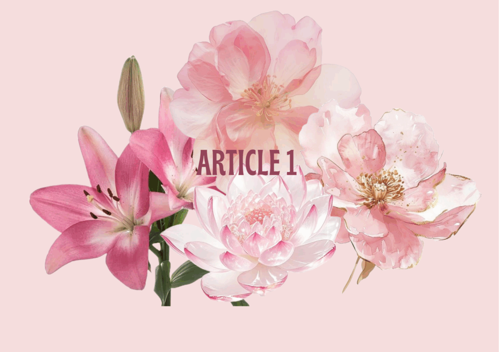 Article 1 : 👩🏽‍💻ˎˊ˗｡°✩📄