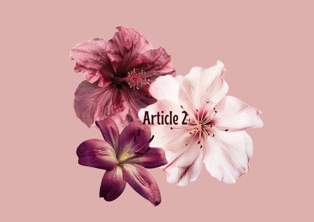 Article 2 : ✧˖ °☁️.🥛🍶⭒